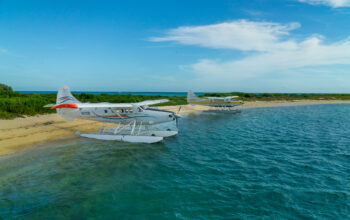 The Island Where Roosters Rule and Cats Have Extra Toes: A Traveler’s Guide to Key West, Florida